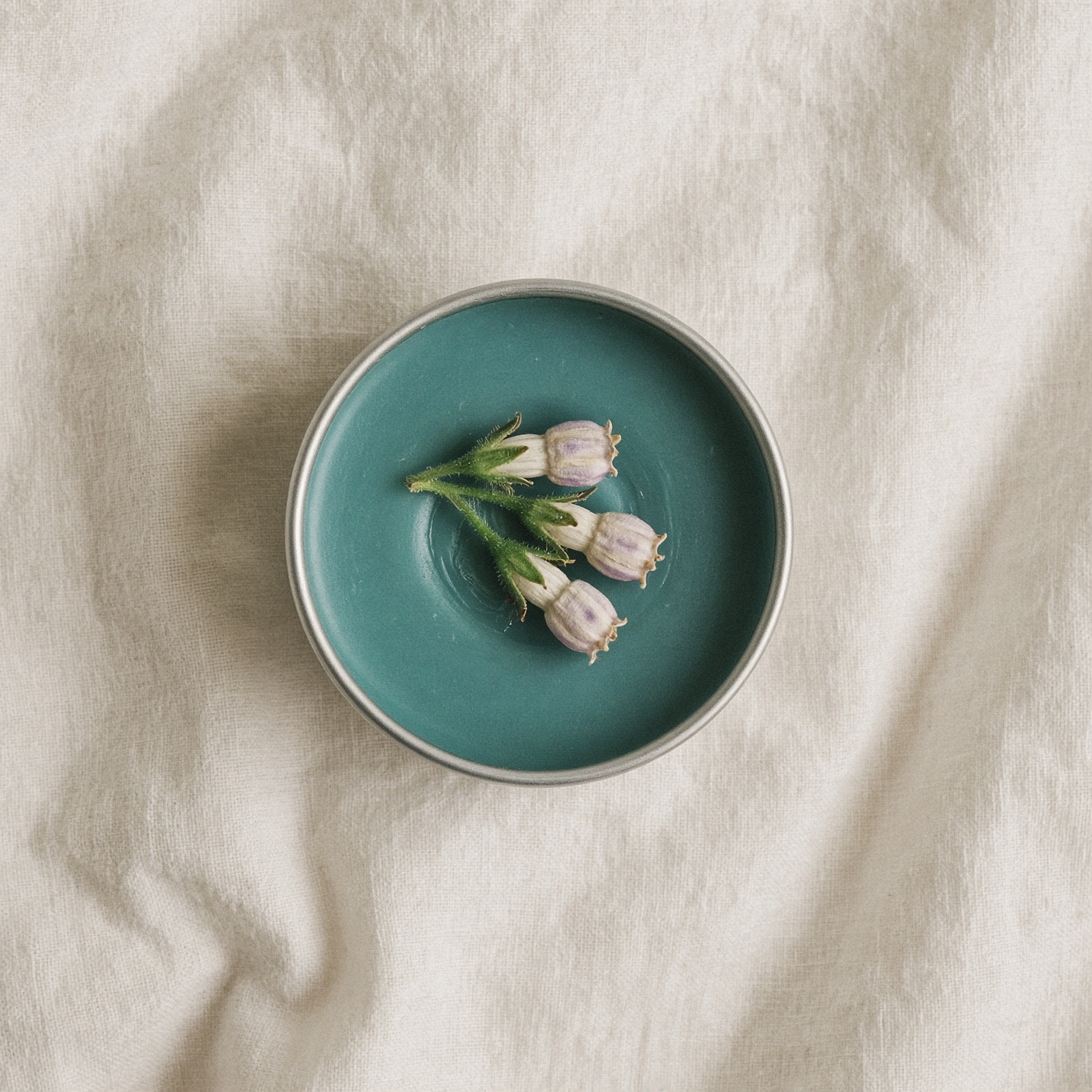 The plant on the lid